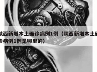 陕西新增本土确诊病例1例（陕西新增本土确诊病例1例是哪里的）