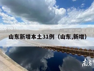 山东新增本土31例（山东,新增）