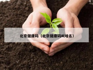 北京健康码（北京健康码叫啥名）