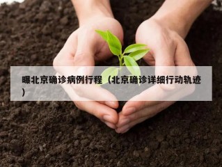 曝北京确诊病例行程（北京确诊详细行动轨迹）