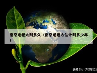 南京毛老太判多久（南京毛老太估计判多少年）