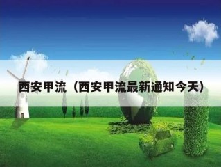 西安甲流（西安甲流最新通知今天）