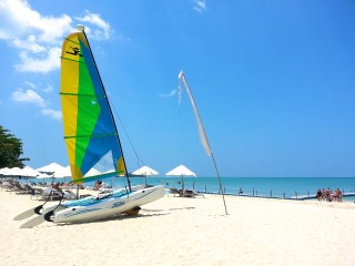 392.com，威尼斯人的数字乐园 V4.21.7