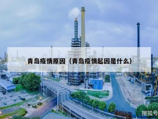 青岛疫情原因（青岛疫情起因是什么）