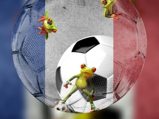 ai预测球赛绿色版V75.69.150.205ios版本-好用