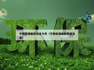 宁陵疫情最新消息今天（宁陵疫情最新数据消息）