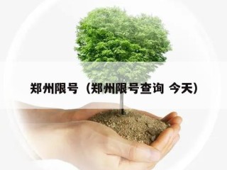 郑州限号（郑州限号查询 今天）