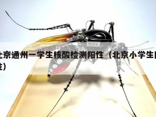北京通州一学生核酸检测阳性（北京小学生阳性）